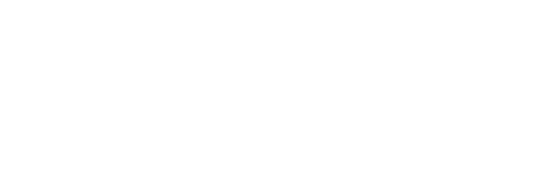 Mc Minn Logo-06-1